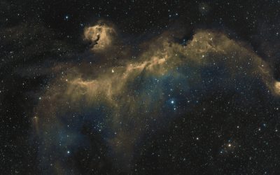 IC 2177 La mouette